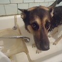 ���� �����, ��������, 46 ��� - ��������� 9 �������� 2012 � ������ ���� ������ ))�