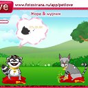 ���� ������(������), ����, 26 ��� - ��������� 15 �������� 2010 � ������ �PetLove�