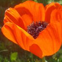 ����, ���� 2013 �. �� ������� ���� ����������