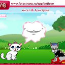  , , 22  -  14  2010   PetLove