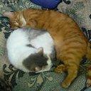 ���� Sergei, �����-���������, 48 ��� - ��������� 24 �������� 2010 � ������ �������