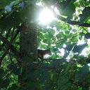  Drdemon, , 47  -  13  2011    2011 