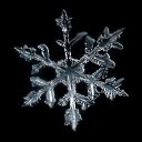 ���� Das Ich, ������, 36 ��� - ��������� 15 ������� 2011 � ������ ���������