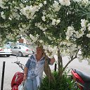 ���� �����, ���������, 63 ���� - ��������� 9 �������� 2011 � ������ ���� ����������