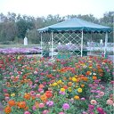  ,  -  18  2011          .