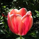 ���� Empire, ������-��-���� - ��������� 4 ��� 2010 � ������ ����