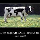 ���� �����, �����-���������, 52 ���� - ��������� 18 ������� 2012 � ������ �������