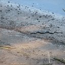 ���� Tanechka, ��������� - ��������� 16 ���� 2012 � ������ ����� �������