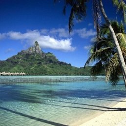 ���� ����, ������, 44 ���� - ��������� 14 ������ 2012