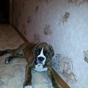 �������� �� �������? �� ������� ���� ���� �����߻