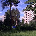 ���� ����������� ���������, ��������, 38 ��� - ��������� 19 ���� 2013 � ������ ������ ��������