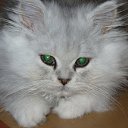 ���� Katkas, �������, 45 ��� - ��������� 5 ������ 2009 � ������ ����������