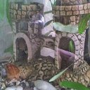 ���� ���������, �����������, 49 ��� - ��������� 19 ������� 2011