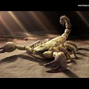 ���� �������, ������ - ��������� 17 ������� 2011 � ������ �������