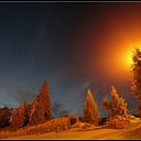 ���� �����, ���������, 38 ��� - ��������� 21 ������ 2010 � ������ ���� ������ ���