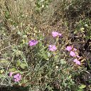 ���� �����, ������������ - ��������� 14 ������� 2012 � ������ ��������