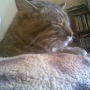  (  ), , 44  -  25  2011   