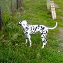 ���� ���������-���-������, ������, 45 ��� - ��������� 17 ��� 2012 � ������ �������