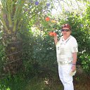  , , 68  -  3  2010   -2010