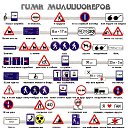 ���� �������, �����, 40 ��� - ��������� 1 ���� 2010