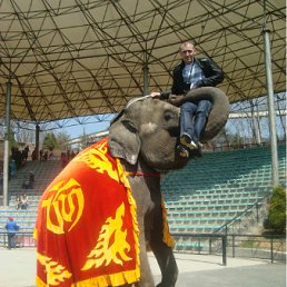 ���� �������, �����������, 46 ��� - ��������� 25 ������ 2012