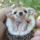 ���� �������, ������, 51 ��� - ��������� 24 ���� 2012