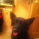 ���� �����71, ������, 54 ���� - ��������� 12 ��� 2013