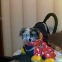 ��� ������) �� ������� ���� �������)�