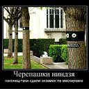 ���� ������, �����, 28 ��� - ��������� 11 ������ 2010 � ������ �������