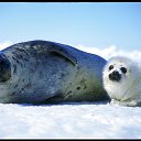 ���� �������, ������, 47 ��� - ��������� 19 �������� 2012 � ������ ��������, ������ �����!!!�