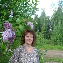 ���� ����, �������, 52 ���� - ��������� 25 ���� 2013 � ������ ���� ����������