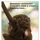 ���� Snail, �����, 40 ��� - ��������� 9 ������ 2012 � ������ ���� ����������