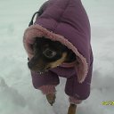 ���� Storm, ���������, 46 ��� - ��������� 26 ����� 2012 � ������ ���� ����������