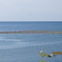  .   . 2012.