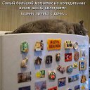 ���� ������ ��������, ������ - ��������� 9 ����� 2013 � ������ ���������