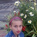  Green Rose, -, 25  -  1  2010   )) ))