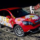 ���� ���������, �������������� - ��������� 4 ������ 2012 � ������ ���������Ż