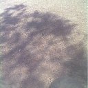 ���� ���������, ����, 65 ��� - ��������� 28 ���� 2012 � ������ �����