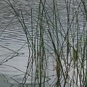  Irina, , 52  -  22  2010    