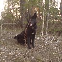 ���� ������, ���������, 52 ���� - ��������� 8 ��� 2011 � ������ ������