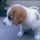 ���� �������, ������������, 58 ��� - ��������� 4 ����� 2012 � ������ ���� ����������