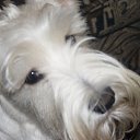 ���� ����, ���� - ��������� 19 ������ 2010