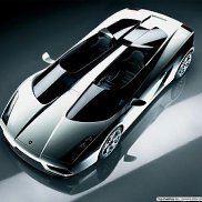 ��������, 41 ���, ���������