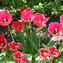 ���� Empire, ������-��-���� - ��������� 4 ��� 2010 � ������ ����