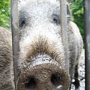 ���� �������, ����, 48 ��� - ��������� 12 ����� 2012 � ������ ���� ����������