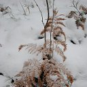 ����� ����� �� ������� ������� ����