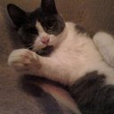  , -, 61  -  12  2012   