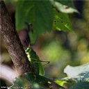 ���� ���������, ������, 71 ��� - ��������� 1 ������ 2012 � ������ ������������� ��� � �������.�