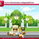  , , 35  -  16  2011   PetLove