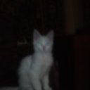 ���������� �� ������� ����� ��� ������������